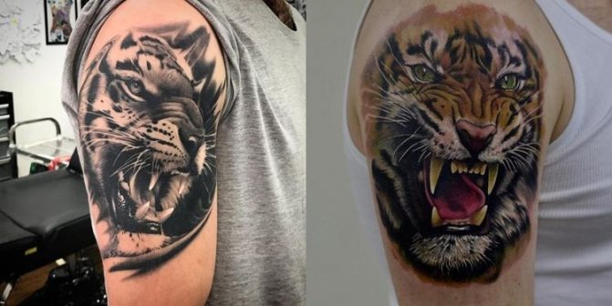 Tetoválás tigris