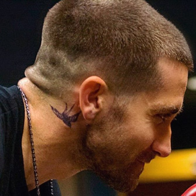 Tatouage d'hirondelle sur le cou de l'acteur Jake Gillenhall