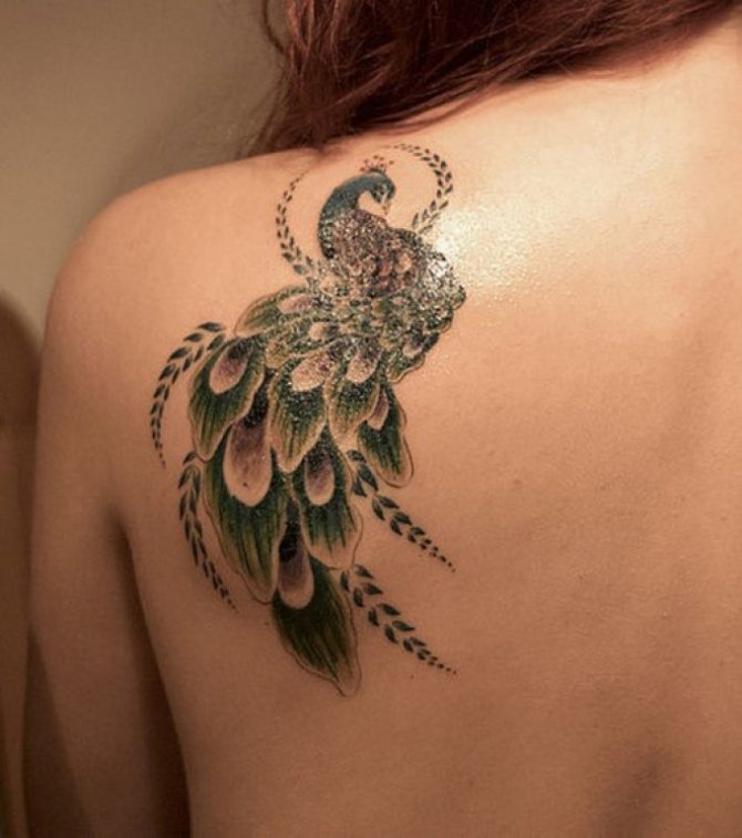 Riikinkukko tatuointi näyttää erittäin kauniilta