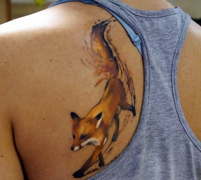 Per mentę einančios voveraitės formos tatuiruotė