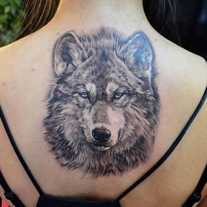Tatuagem na forma de um lobo