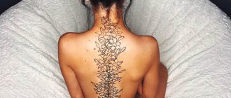 Tatuointi selkärankaa pitkin tytöillä. Taustakuva, luonnoksia