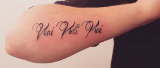 Tattoo Veni, vidi, vici（来て、見て、征服した！）。スケッチ、翻訳、意味。