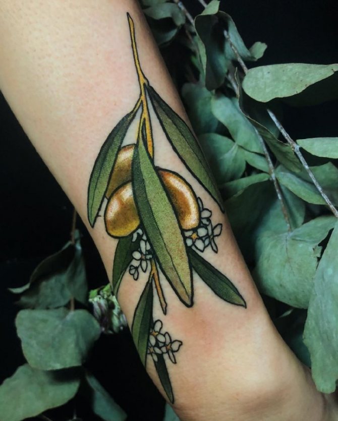 татуировка с маслинови клонки