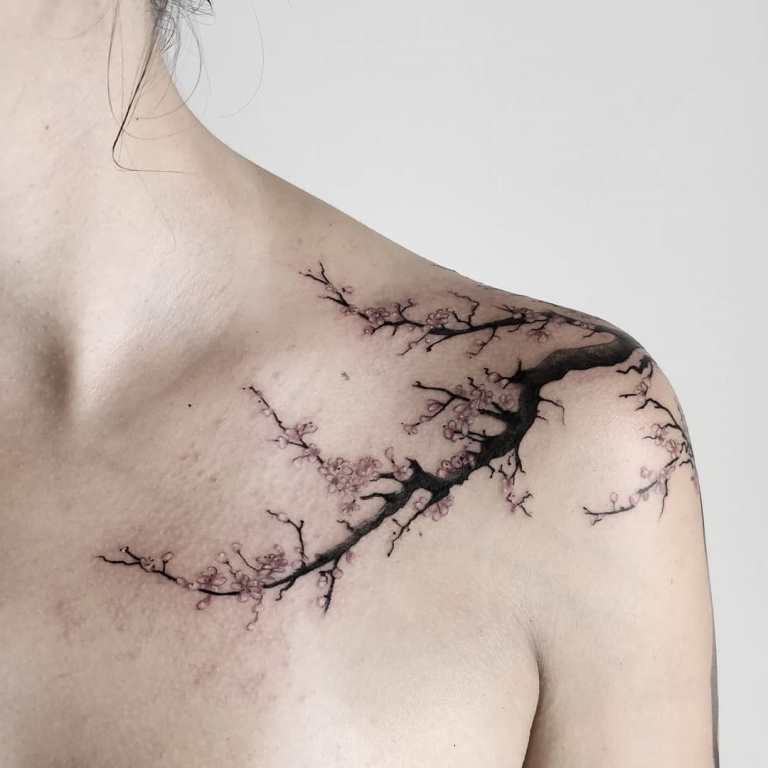 tatuaggio ramo di ciliegio