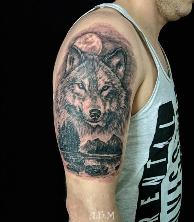 Tetoválás farkas a vállon