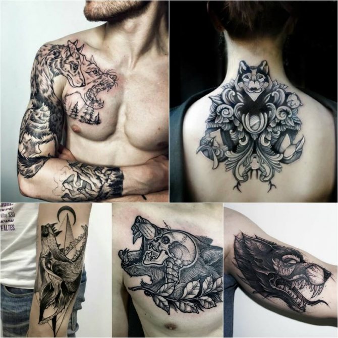 Tattoo wolf - Tattoo wolf - Tattoo wolf tähendus ja visandamine