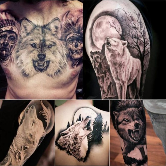 Tatuagem do lobo - Subtileza da tatuagem do lobo - Tatuagem do lobo branco