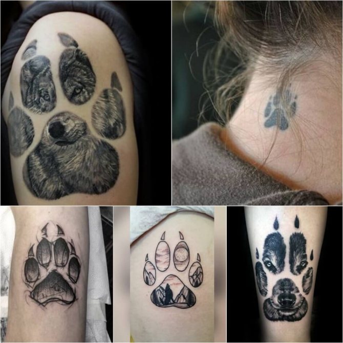Tetoviranje volka - Subtilnost tetovaže volka - Tetoviranje volčje šape - Tetoviranje volčje šape