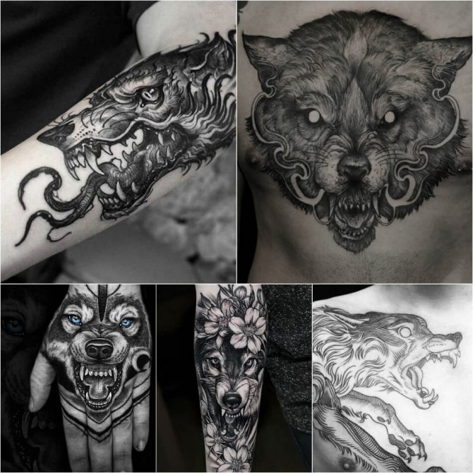 Татуировка вълк - Финес на татуировката вълк - Татуировка вълча усмивка - Значение на татуировката вълча усмивка