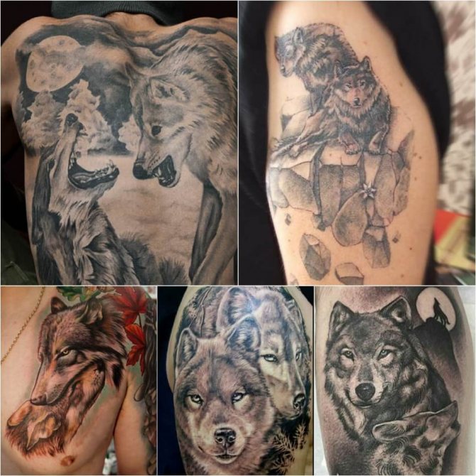 Tattoo Wolf - Subtilität des Wolfs Tattoo - Tattoo Wolf und Wölfin