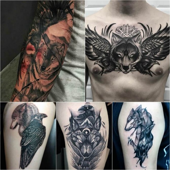 Τατουάζ λύκος - Λεπτότητα του τατουάζ λύκος - Τατουάζ λύκος και κοράκι - Λύκος και κοράκι έννοια