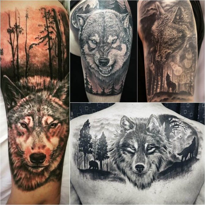 Tatuagem do lobo - Subtileza da tatuagem do lobo - Tatuagem do lobo no bosque
