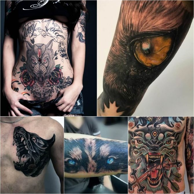 狼纹身 - 狼纹身的签名和草图 - 狼纹身