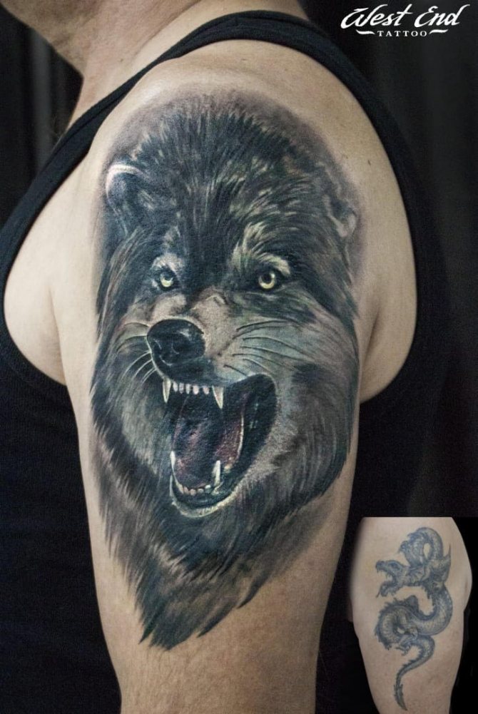 Tatuiruotė vilkas