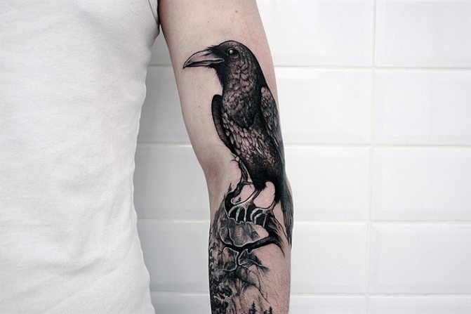 Tatuaggio di un corvo sulla spalla, braccio, petto e collo. Significato per uomini, ragazze