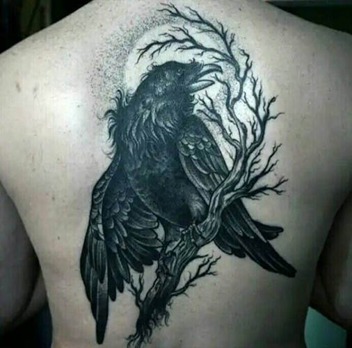 Tattoo van een raaf op de schouder, arm, borst en nek. Betekenis voor mannen, meisjes