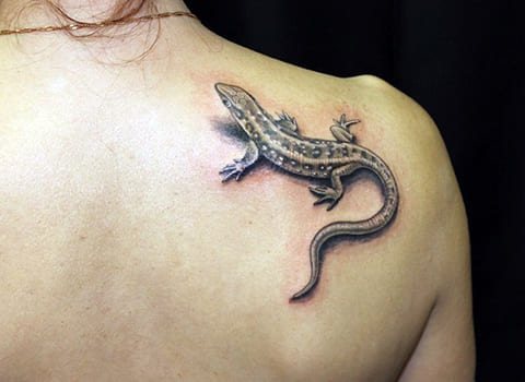 Tatuaggio lucertola sulla scapola