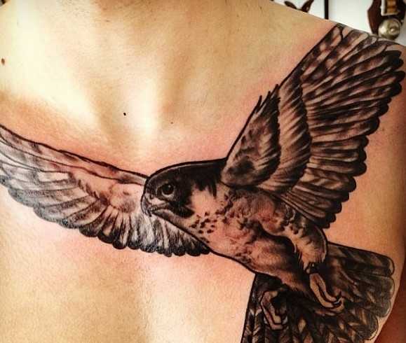 tatuaggio falco sul petto