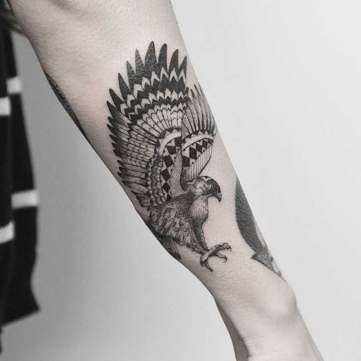 Falco del tatuaggio sulla mano