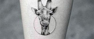 tattoo giraf
