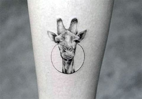 Tatuiruotė žirafa
