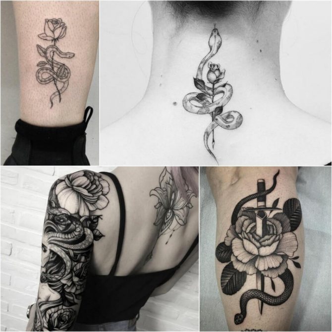Τατουάζ φίδι - Τατουάζ φίδι και τριαντάφυλλο - Τατουάζ φίδι