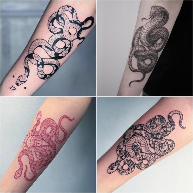 Tatuiruotė gyvatė - Tatuiruotė gyvatė ant rankos - Tatuiruotė gyvatė ant rankos