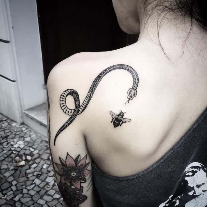 Tatuiruotė Snake - Tatuiruotė Snake - Gyvatės tatuiruotės reikšmė