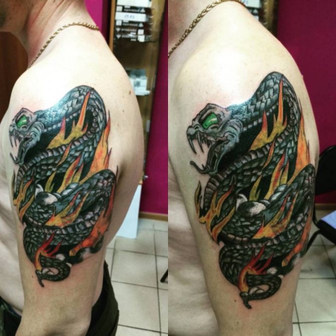tatuaggio serpente in fiamme