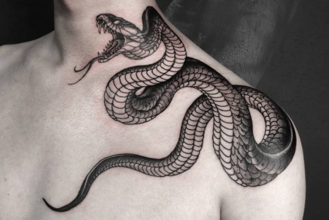 纹身的蛇。对女孩、男人、素描、照片的意义