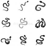 Kígyó tetoválás. Jelentése lányok, férfiak, vázlatok, fotók