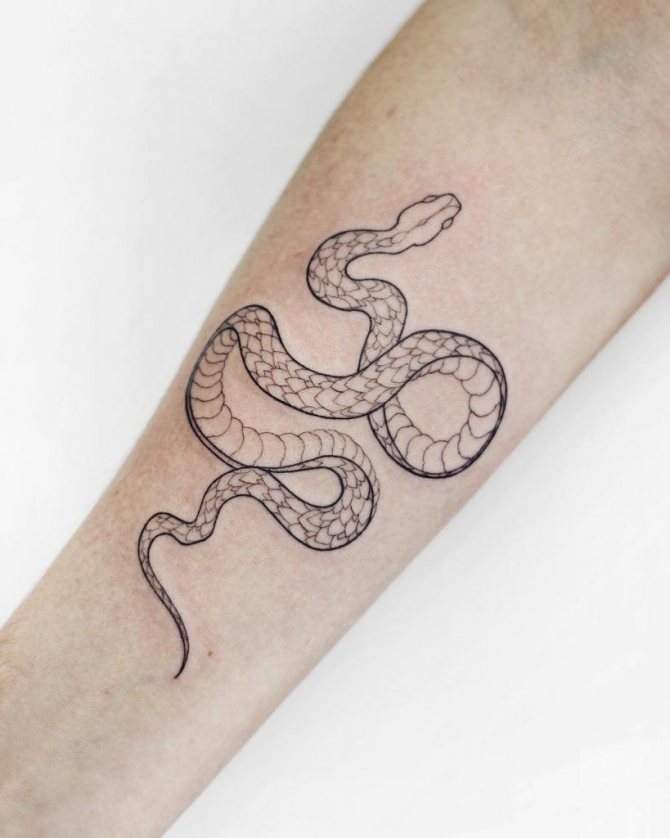 gyvatės tatuiruotė - tatuiruočių reikšmės