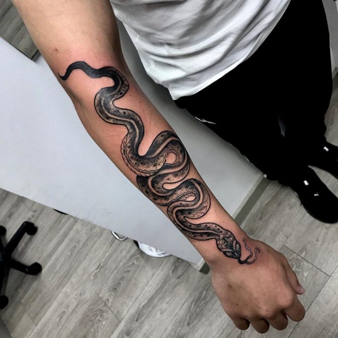 význam tetovania hada