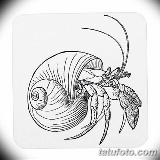 Tatuagem do caranguejo do signo do zodíaco para homens: colecção de desenhos, fotografias