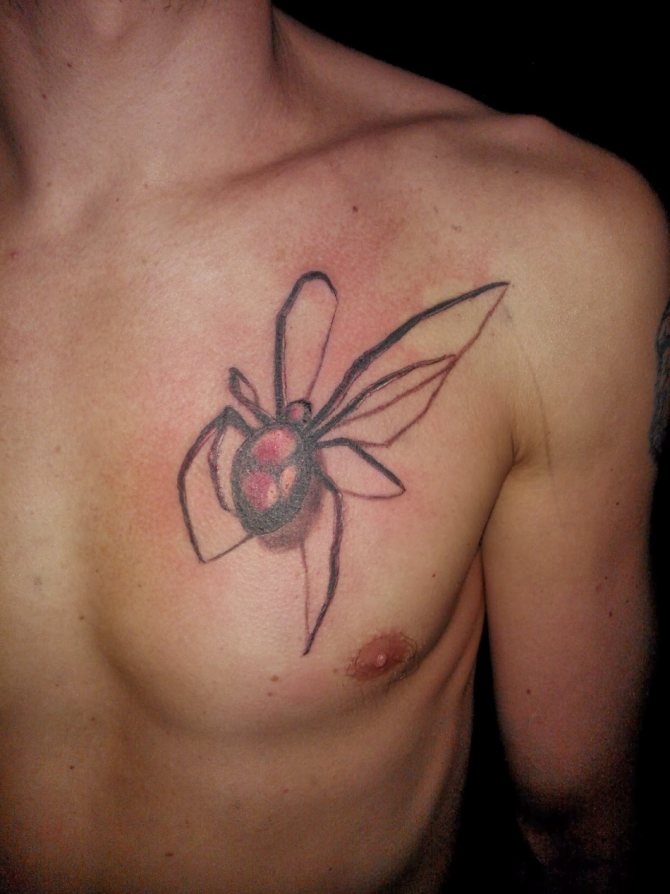Tattoo amulett pók