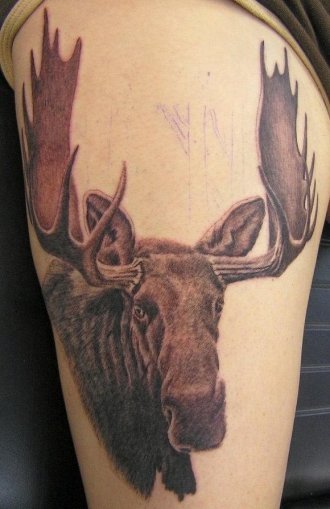 Татуировка с амулет във формата на лос