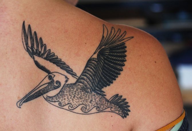 Tetoválás amulett pelikán alakban