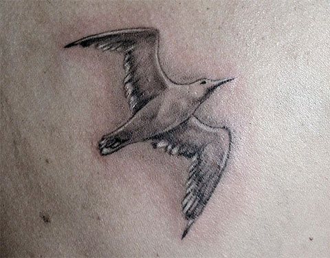 Татуировка на чайка