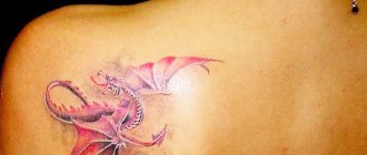 Tatuaj cu un dragon. Foto, semnificație, schițe pentru fete, bărbați. Fotografie