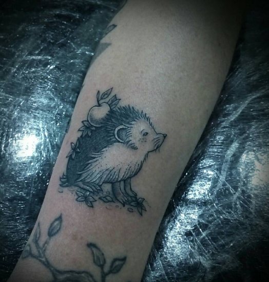 Tetovaža jabolčnega ježka na podlakti