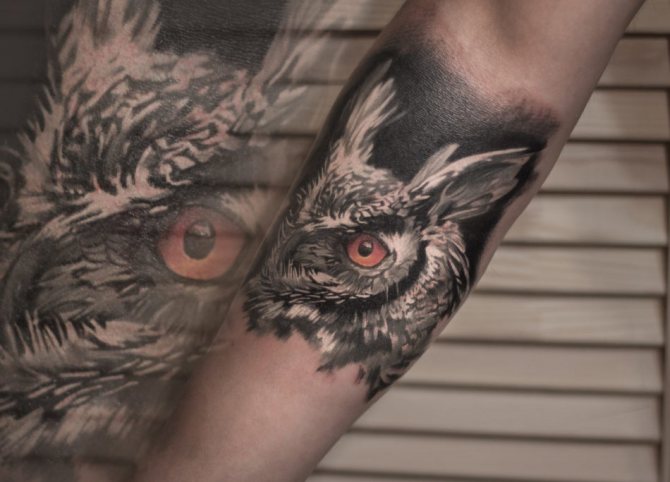 フクロウのタトゥー: リアルなスタイル