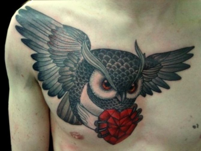 Tatuointi - pöllö