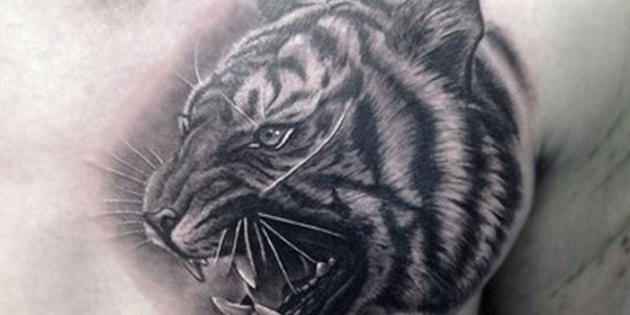Tatuaj de un cap de tigru