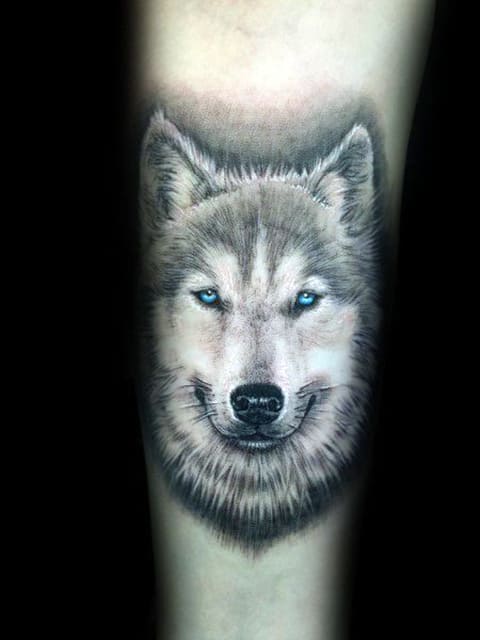 Husky tatuaj