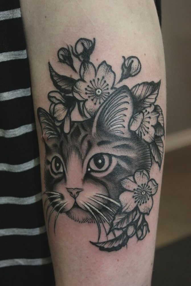 Kissa tatuointi kukkia käsivarressa