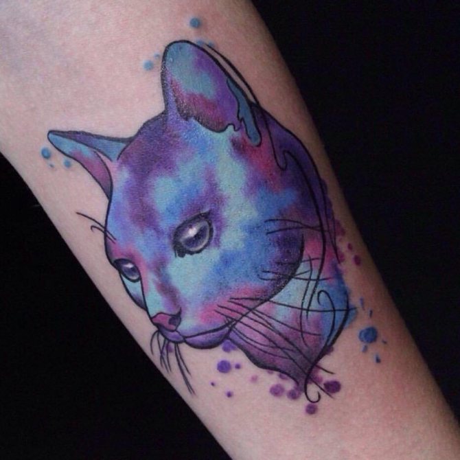 Akvarelli kissa tatuointi
