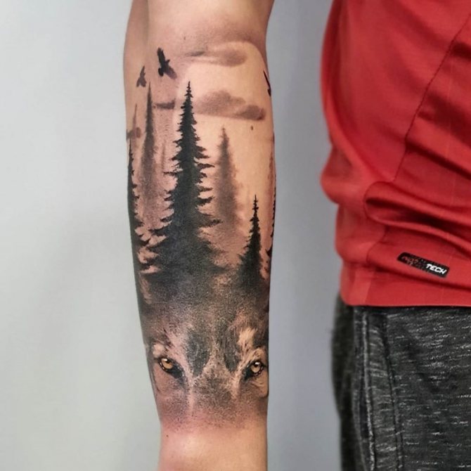 floresta de tatuagens