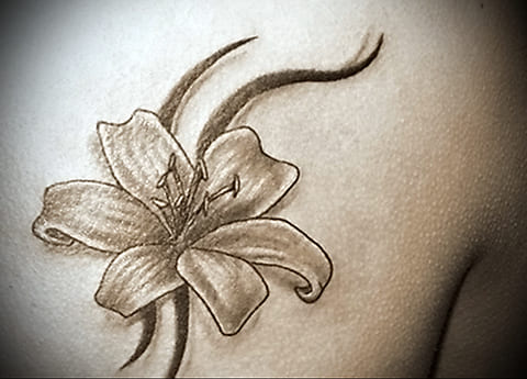 Tatuagem de um lírio