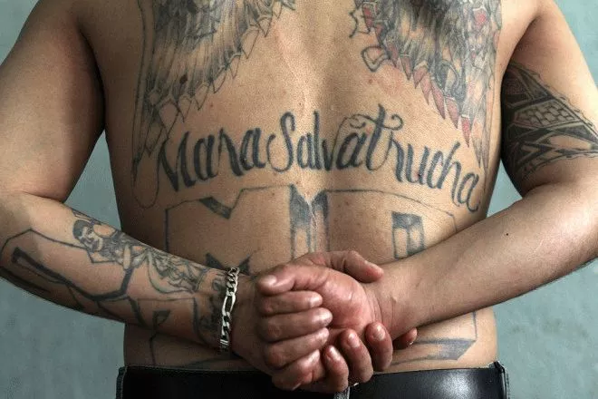 Mara Salvatrucha tatoeage